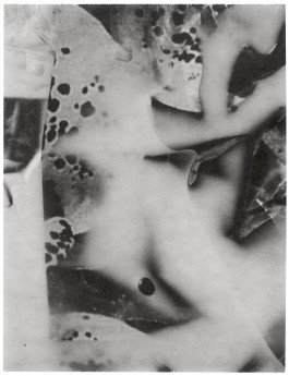 Norman Wilcox-Geissen