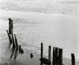 Norman Wilcox-Geissen