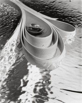 Norman Wilcox-Geissen